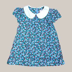 Classic Prep Strawberry Blue Peter Pan Collar Dress 2T